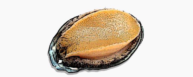 蒸海蛎子是凉水下锅还是开水下锅(海蛎子用凉水蒸还是热水蒸)
