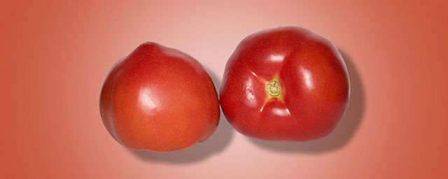水果西红柿与普通西红柿区别(西红柿是水果还是水果)