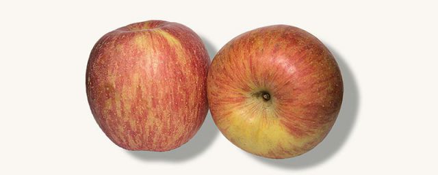 苹果和香瓜可以一起吃吗(香瓜能跟苹果一起吃吗)