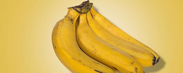 豆浆可以同香蕉一起吃吗(黄瓜香蕉豆浆能一起吃吗)