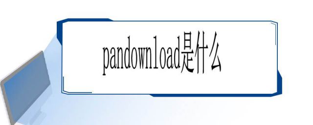 pandownloader(pandownload是什么语言写的)