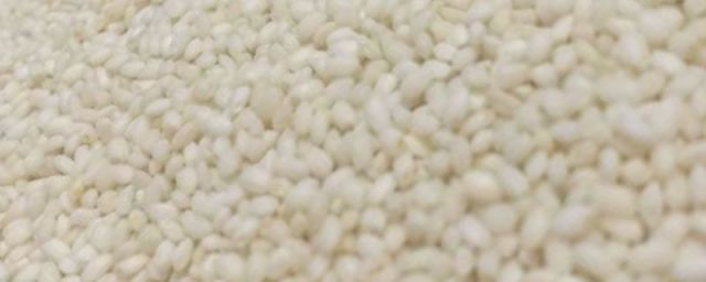 粳米和糙米的区别图片(糙米和粳米有什么不同)
