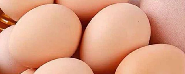 红鸡蛋和白鸡蛋为啥不是一种颜色(鸡蛋白蛋和红蛋区别)