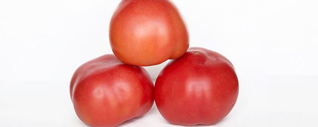 柿子跟西红柿有什么区别(西红柿和柿子的区别是什么)
