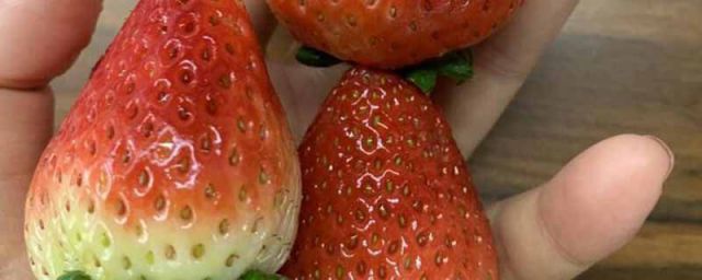巧克力草莓和牛奶草莓的区别(奶油草莓和巧克力草莓哪个好吃)