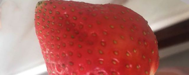 奶油草莓与普通草莓的区别(原味草莓和奶油草莓区别)