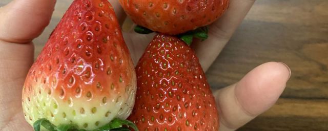 盐水泡草莓泡多长时间虫子(草莓一般盐水泡多久)