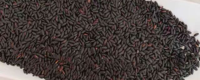 黑糯米与黑米的区别(黑米跟黑糯米的区别图)