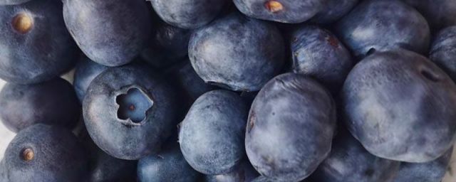 蓝莓怎么冻能保存多久(蓝莓的冷冻方法)