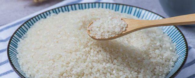 大米属于稻谷吗(大米是稻子吗)