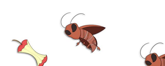 米虫是怎么长出来的 蚂蚁(米虫是怎么生长的)