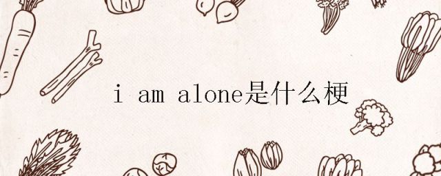i am alone是什么意思啊(alone啥意思啊)